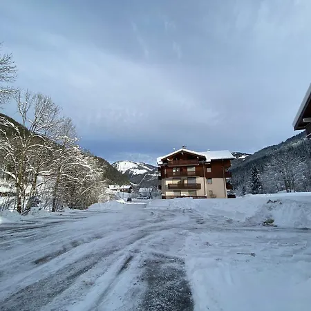 A 750m Du Domaine Skiable Du Linga Avec Balcon Et Parking Prive - Fr-1-693-106 * Châtel